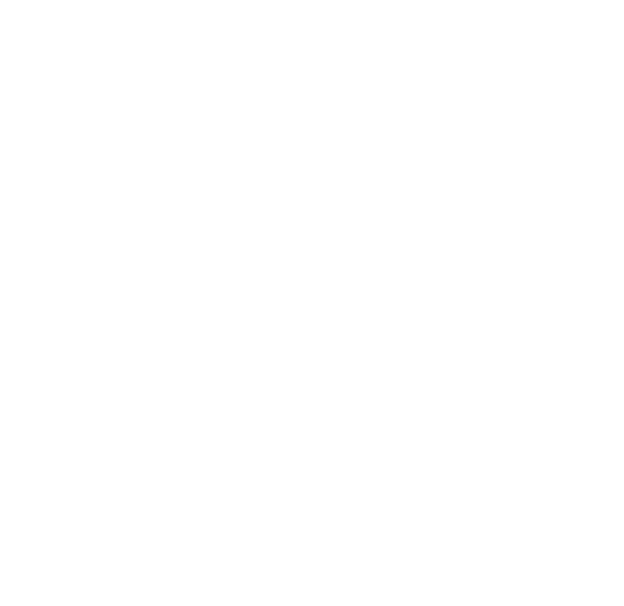 Veraxum official logo